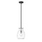 Z-Lite Bella 1 Light Mini Pendant, Matte Black & Clear 476MP-ROD-MB-BN - alternate 5